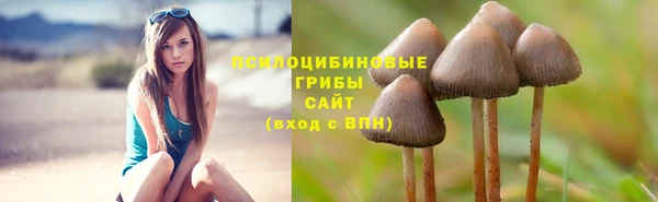 ешки Богданович